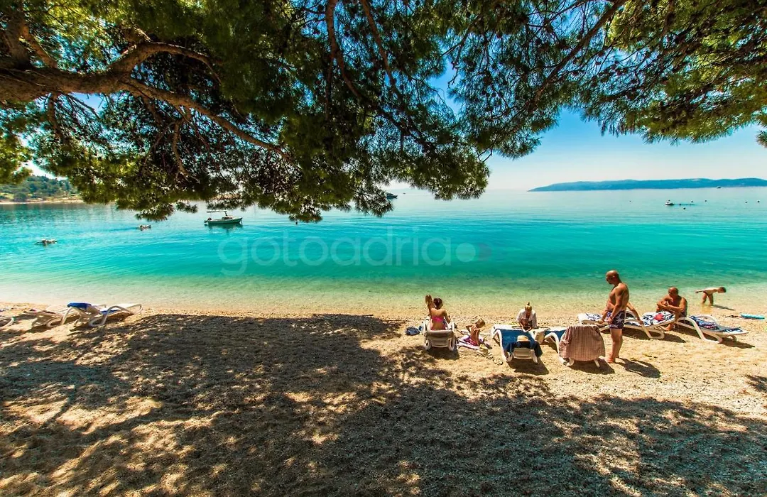 Beachfront Deluxe B&B-1